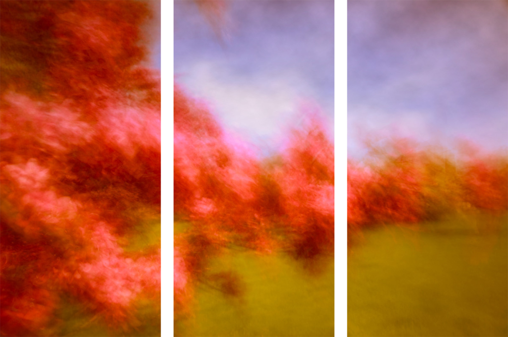 Triptych #4289