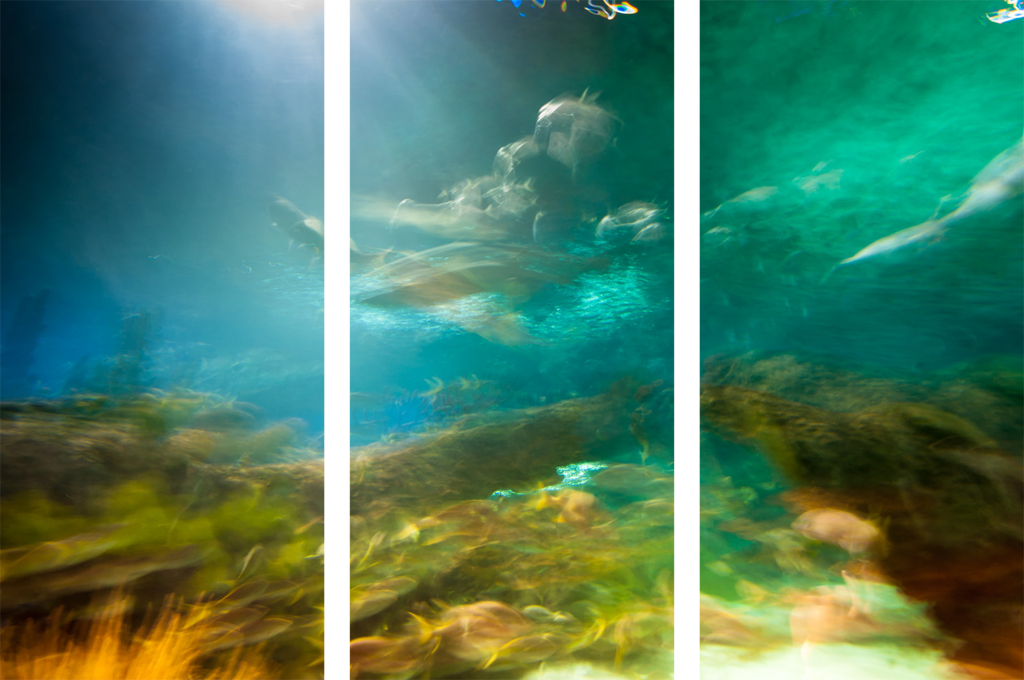 Triptych #4964