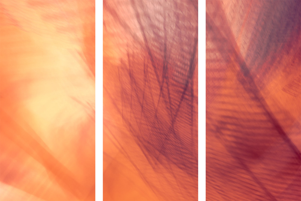 Triptych #7500