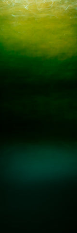 Vertical Abstract 1417