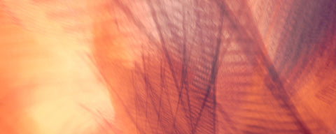 Panoramic Print #7500