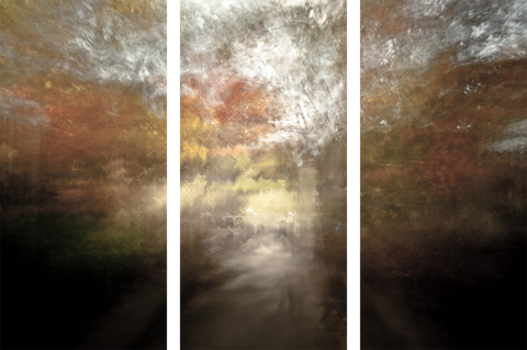 Triptych #3283