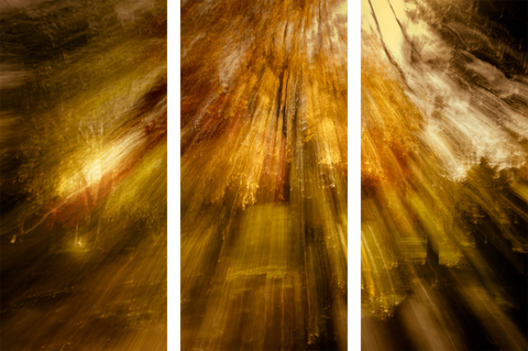 Triptych #3317