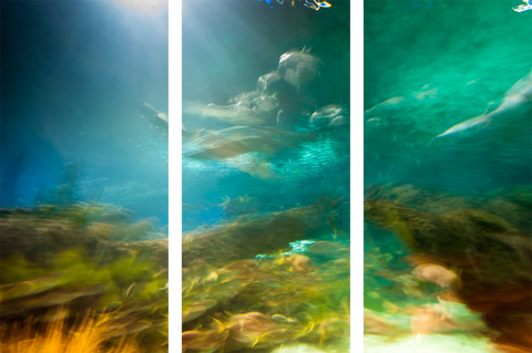 Triptych #4964