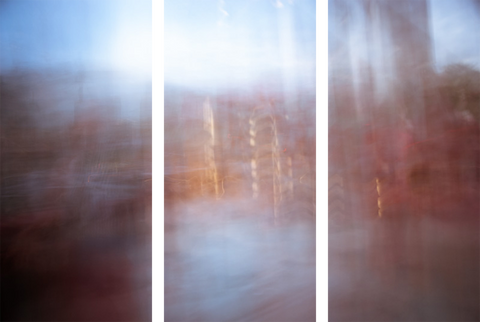 Triptych #7358