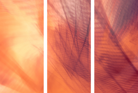 Triptych #7500