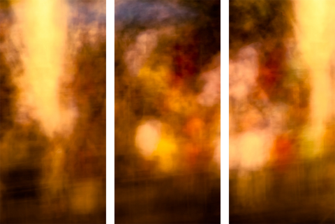 Triptych #7544
