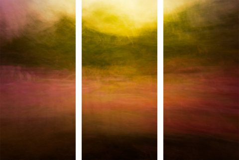 Triptych #7787