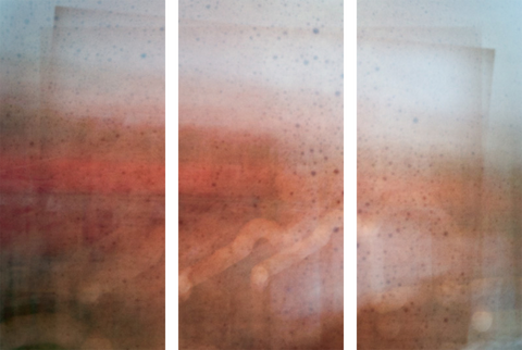 Triptych #7843