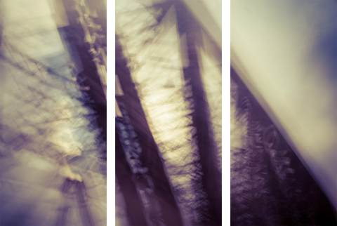 Triptych #7874